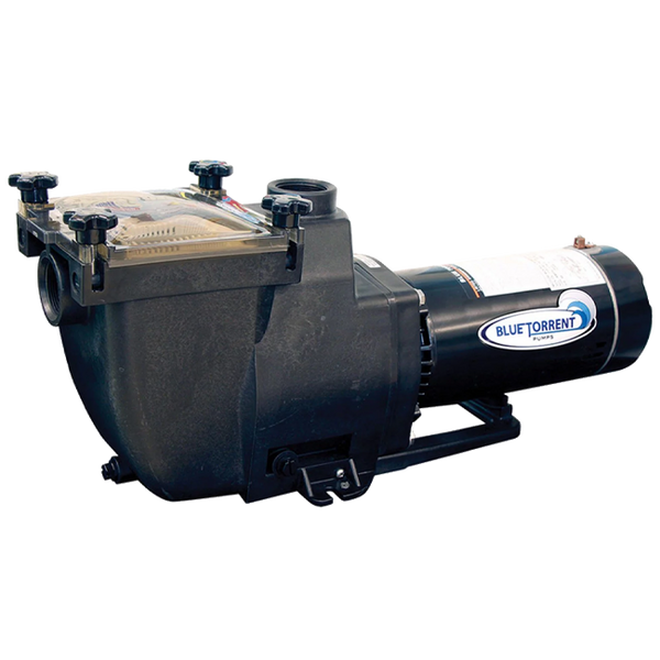 Blue Torrent Typhoon 1.5HP 48-Frame In-Ground Pool Pump – High