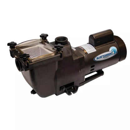 Blue Torrent Typhoon 1 HP 56 Frame In-Ground Pool Pump – Energy-Efficient Single-Speed Performance